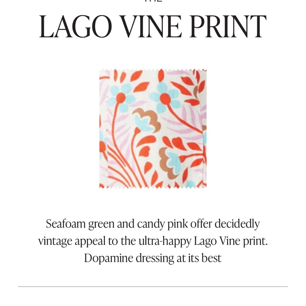 NWOT Rhode Karima Printed Puff Sleeve Dress - Lago Vine Size 8 - Picture 2 of 6